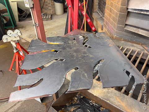 The rest of the tentacles have been cut out. 